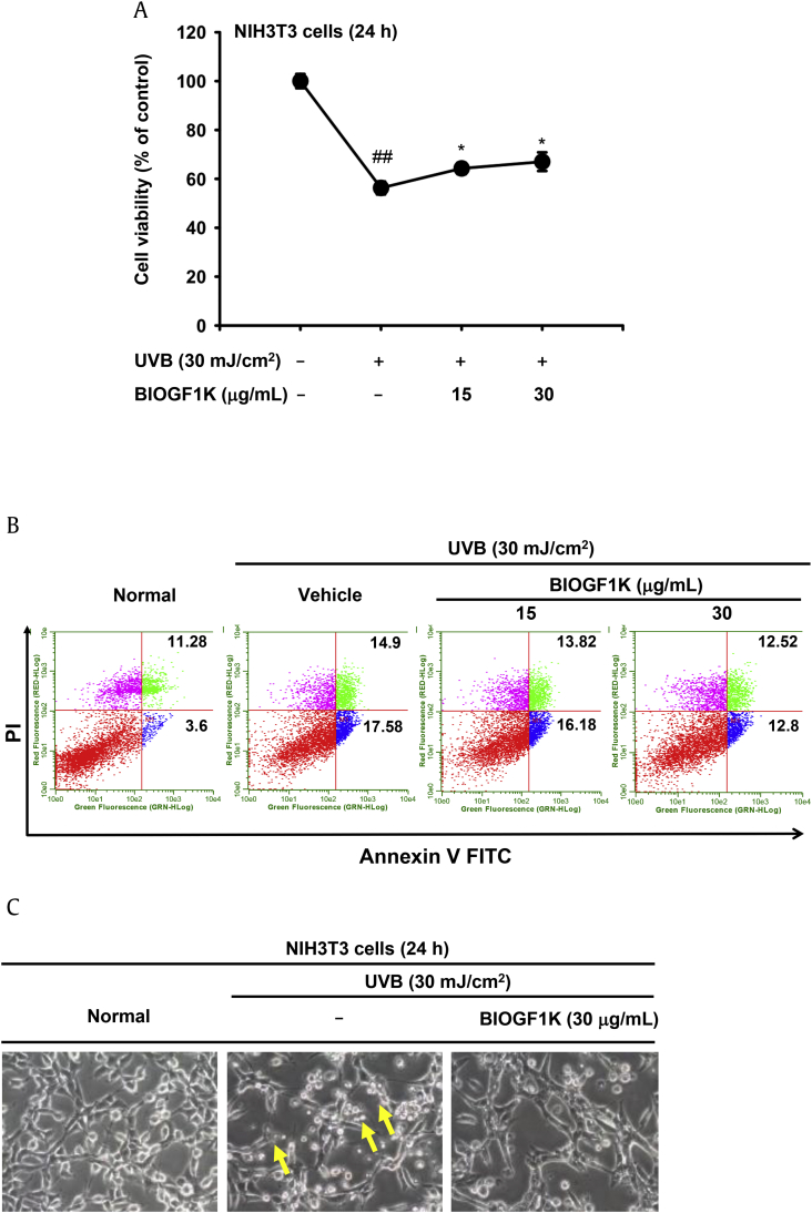 Fig. 2