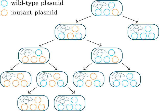 Fig. 4.