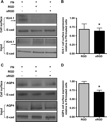 Fig. 9.