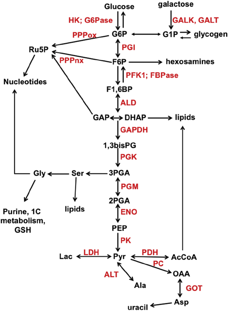 Figure 1