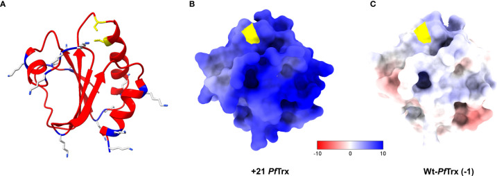 Figure 1