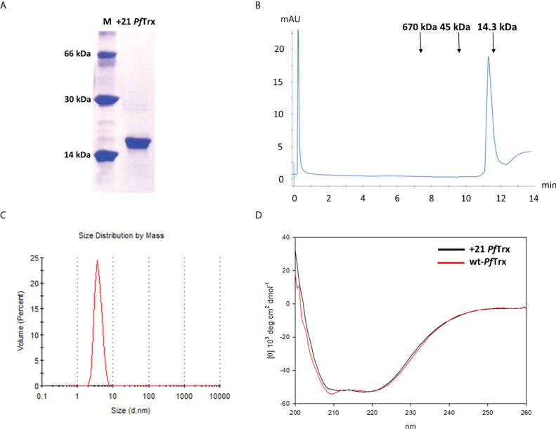 Figure 2