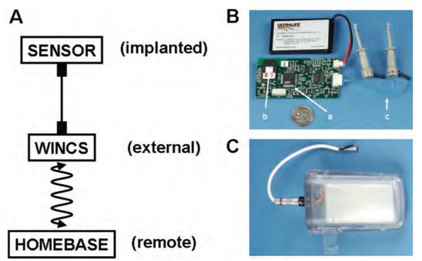 Fig. 1