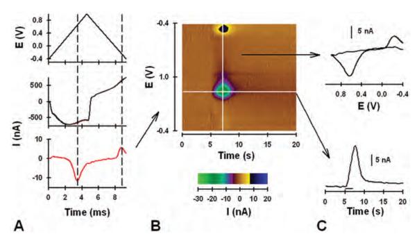 Fig. 2