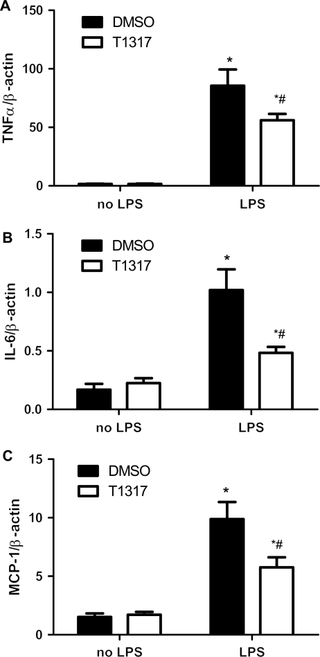 Figure 5