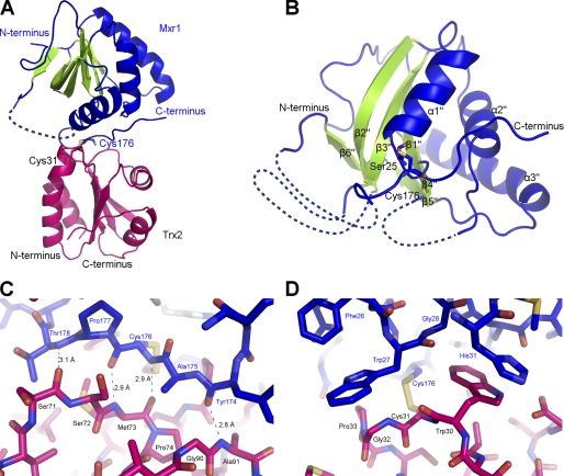 FIGURE 2.