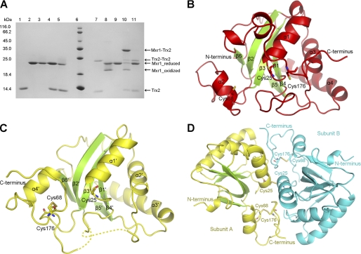 FIGURE 1.