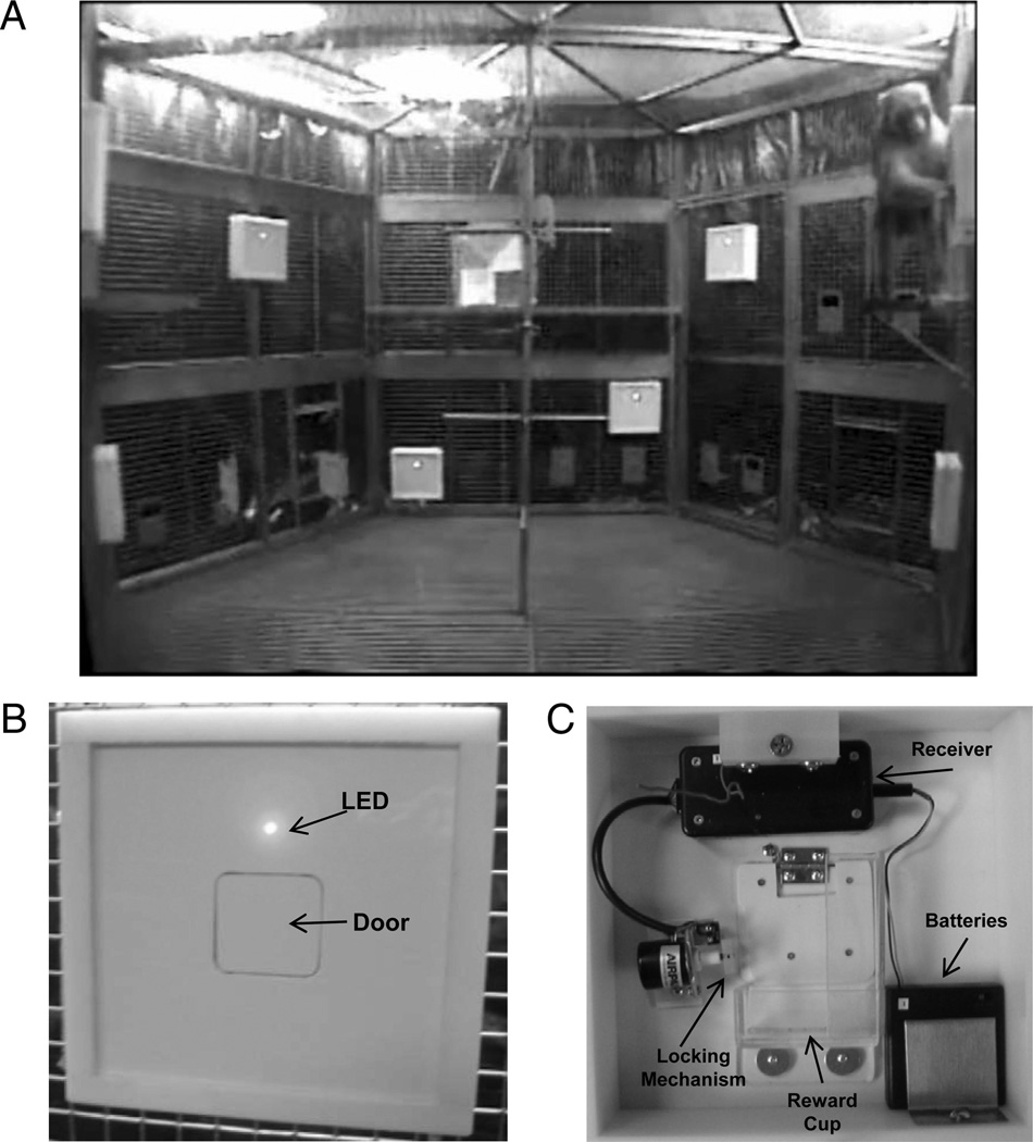 Figure 2