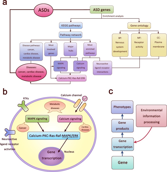 Fig 4