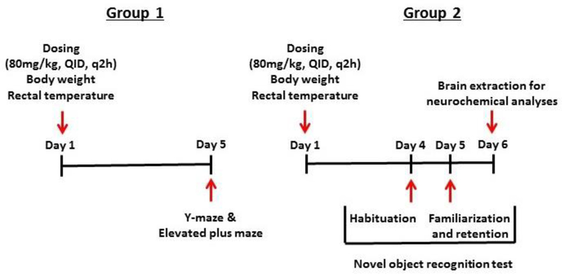 Figure 1: