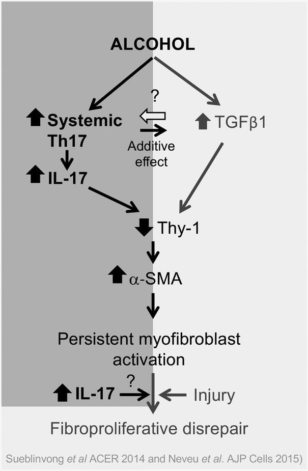 Figure 10.