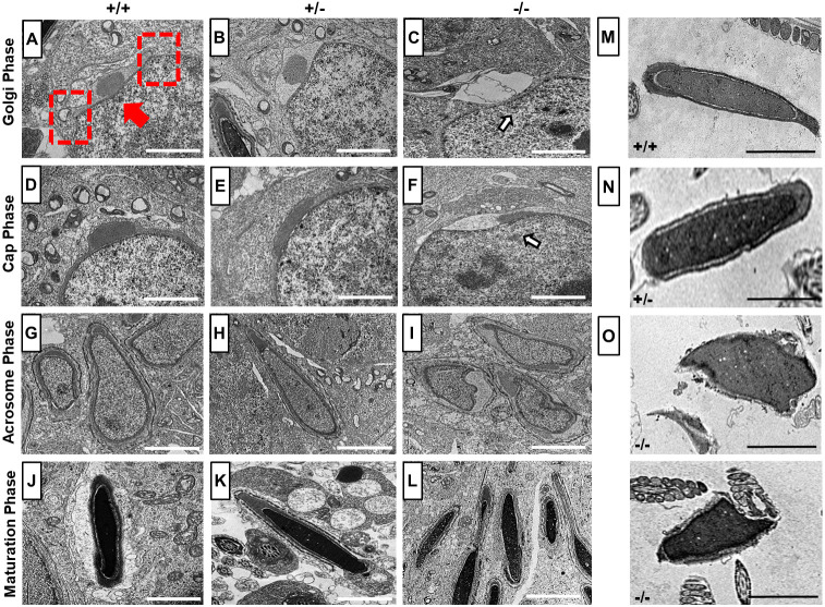 Fig. 6.