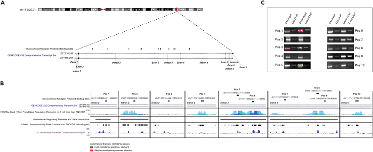 Figure 4