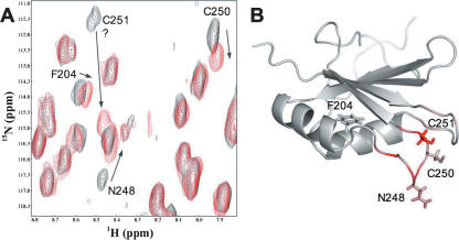 FIGURE 4.