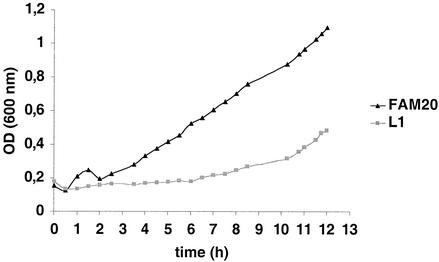 FIG. 2.