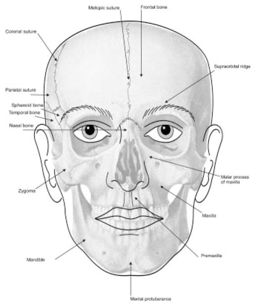 FIG. 1