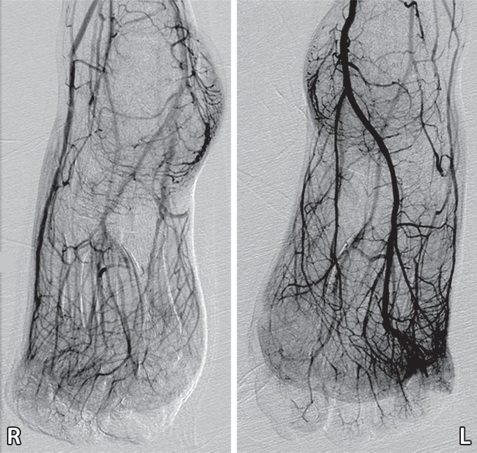 Figure 6c.