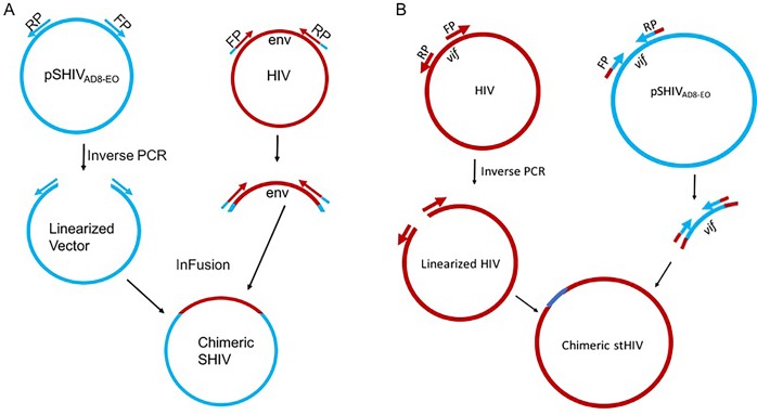 Fig 1