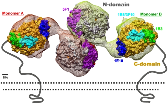 Figure 10