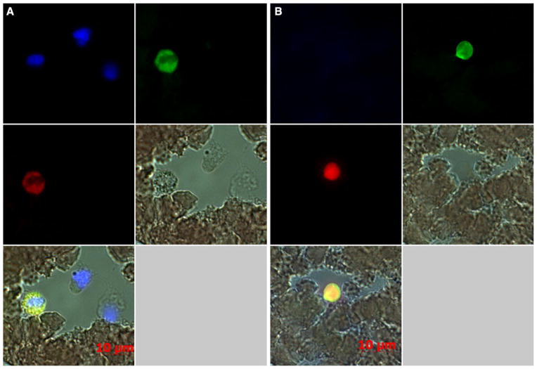 Fig 2