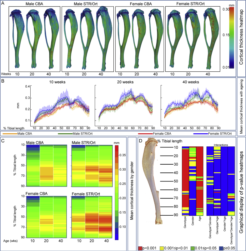 Fig. 3