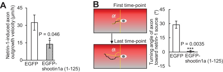 Figure 7—figure supplement 3.