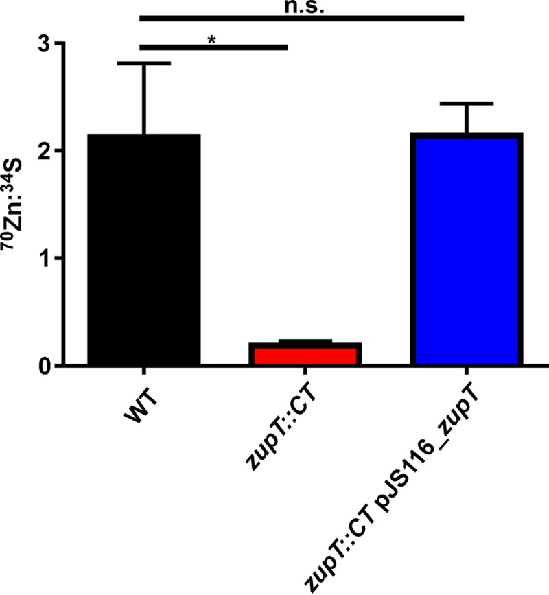 FIG 3