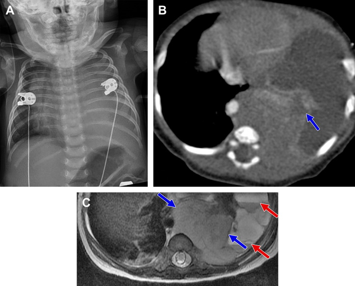 Fig. 5