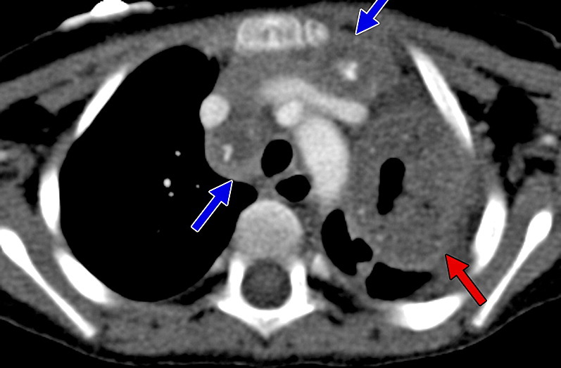 Fig. 7