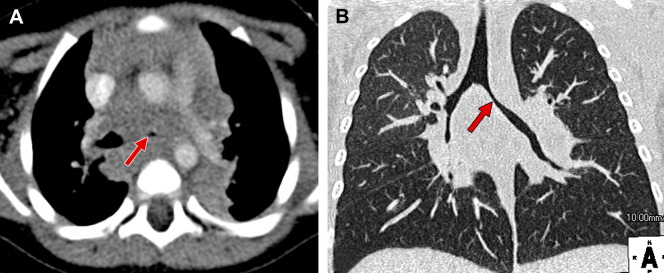 Fig. 8