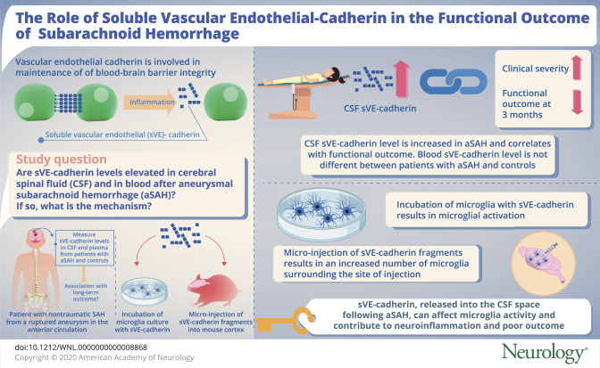 graphic file with name NEUROLOGY2019992545FFU1.jpg