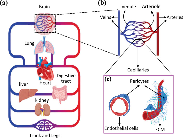 Fig. (1)