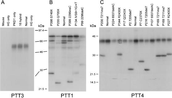 Figure  2 