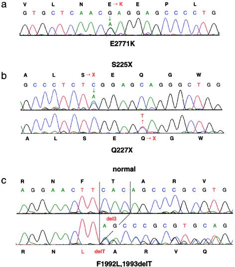 Figure  3 