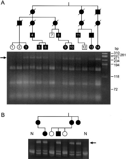 Figure  4 