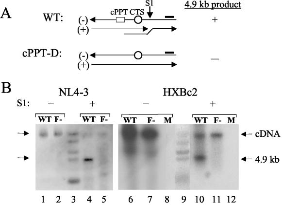 FIG. 4.