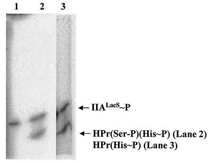 FIG.4.