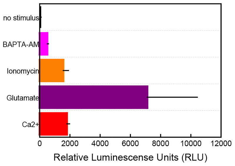 Figure 7.