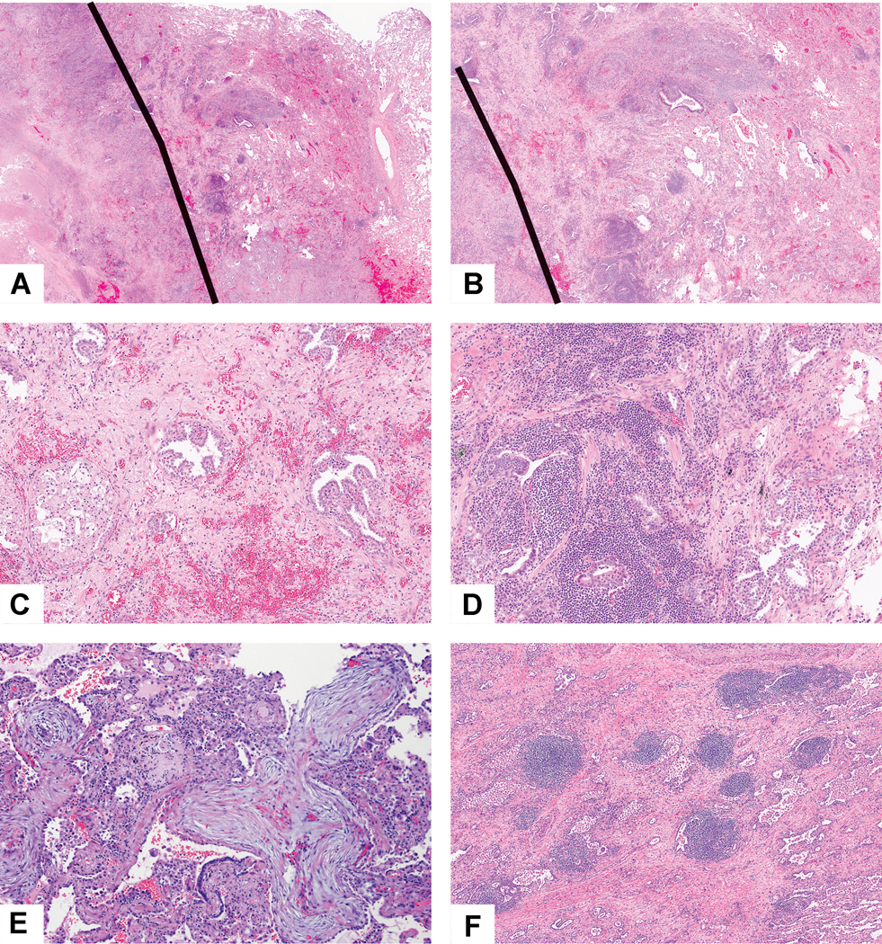 Figure 7: