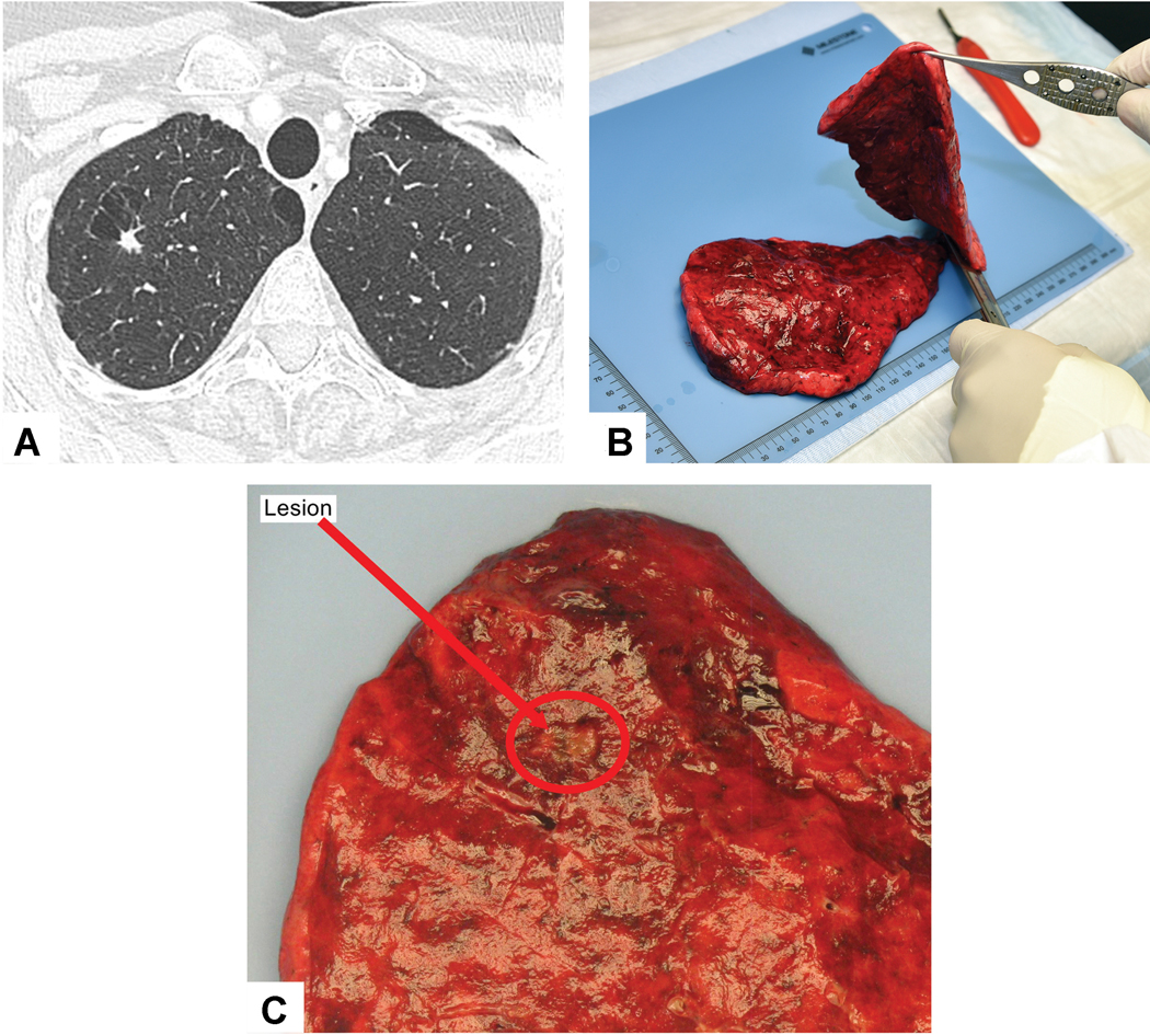 Figure 4: