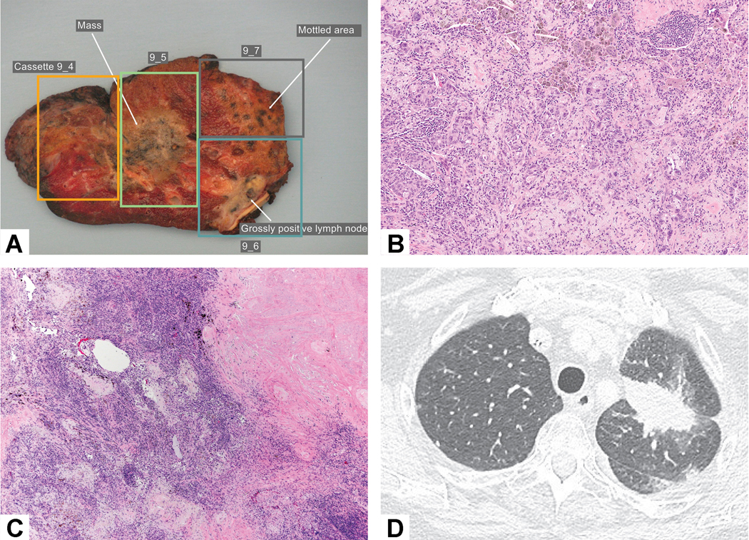 Figure 6: