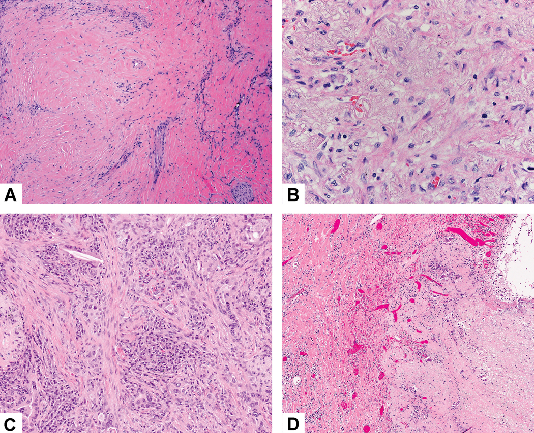 Figure 10: