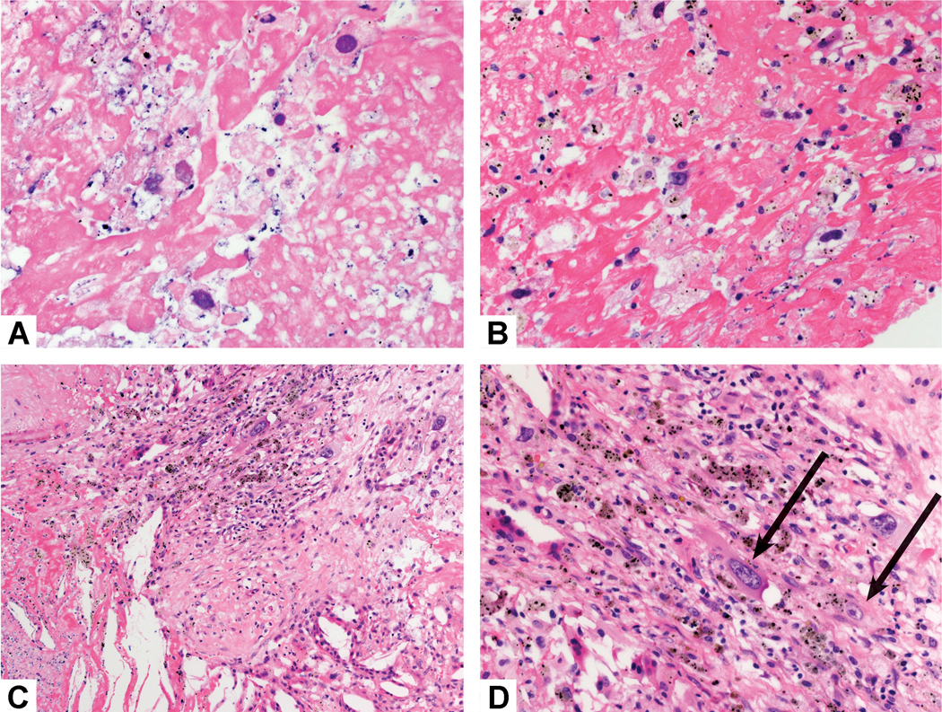 Figure 9: