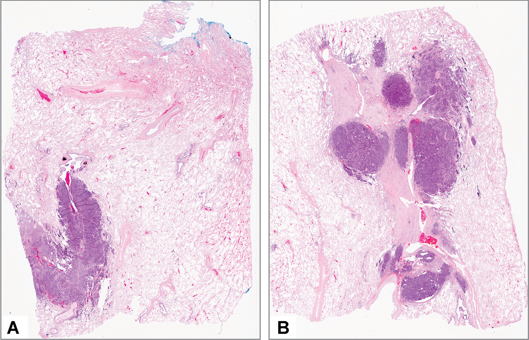 Figure 12: