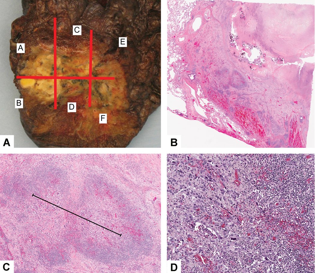 Figure 2: