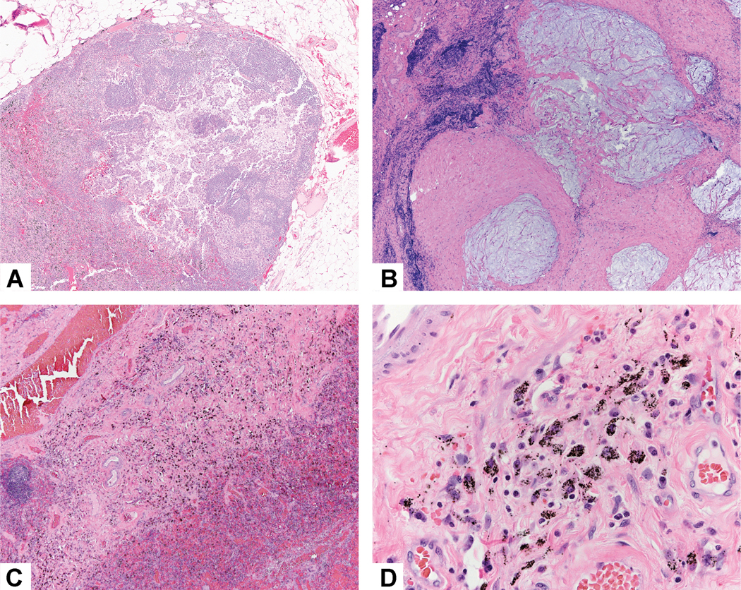 Figure 13: