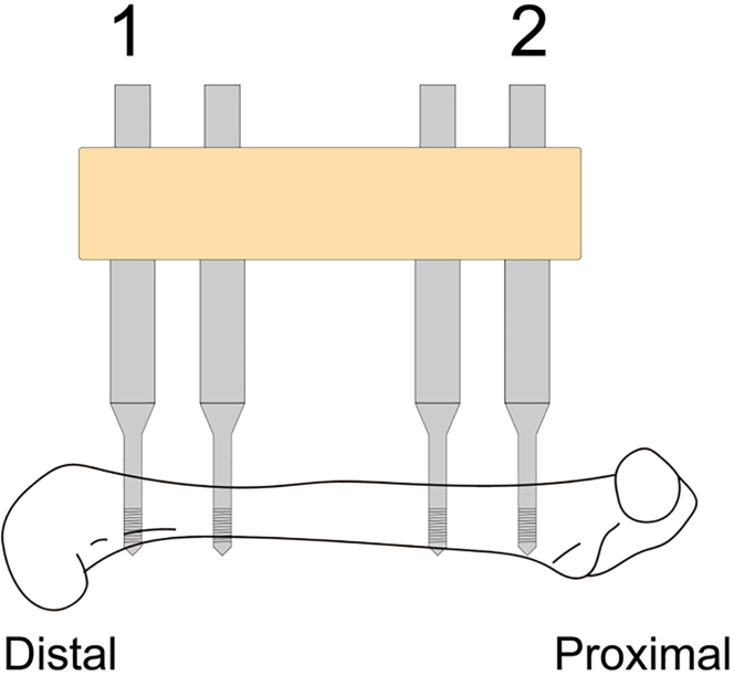 Figure 2