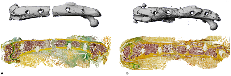 Figure 5