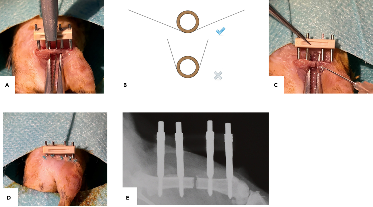 Figure 4