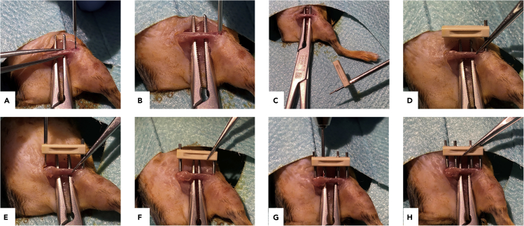 Figure 3